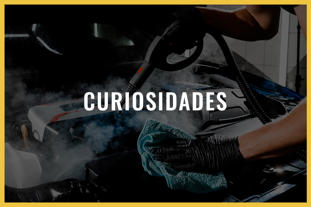 Curiosidades
